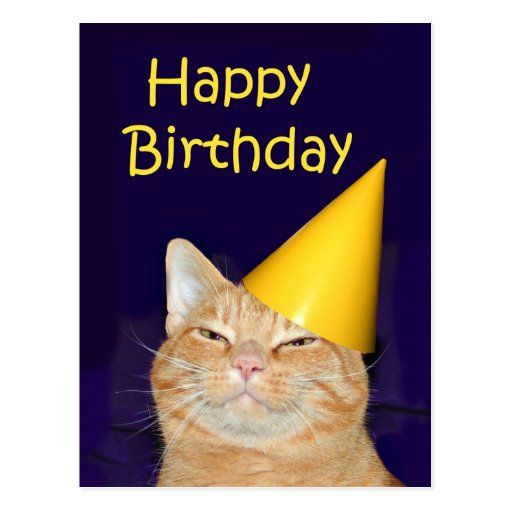 feliz_cumpleanos_del_gato_feliz_tarjetas