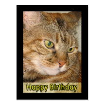 feliz cumpleaños del gato postal
