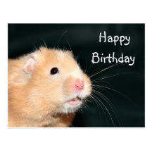 Feliz cumpleaños del hámster postales