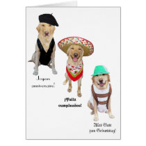 Feliz cumpleaños del perro divertido en cuatro idi tarjetas
