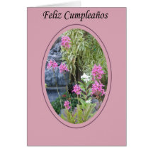 Feliz Cumpleaños Felicitacion