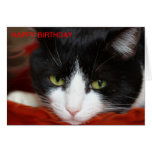 FELIZ CUMPLEAÑOS FELICITACIÓN