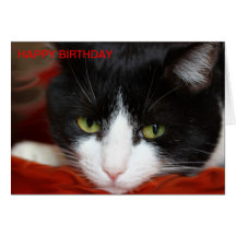 FELIZ CUMPLEAÑOS FELICITACIÓN