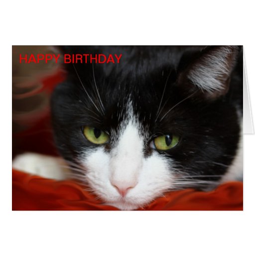 FELIZ CUMPLEAÑOS FELICITACIÓN