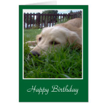 Feliz cumpleaños felicitacion 