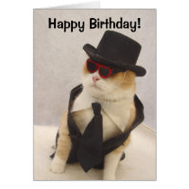 ¡Feliz cumpleaños, gato fresco! tarjetas