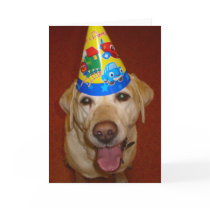 Feliz cumpleaños Prima por mdgordon