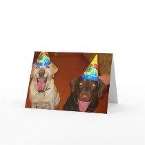 Feliz cumpleaños Prima y Jake por mdgordon