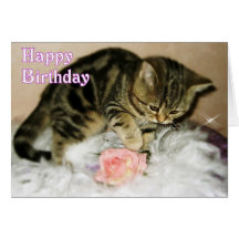 Feliz cumpleaños - tarjeta de cumpleaños del gatit