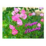feliz cumpleaños tarjeta postal