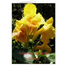 Feliz dia de las madres Hermana Felicitaciones