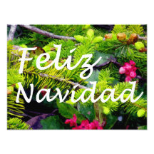 Feliz Navidad Fotografia
