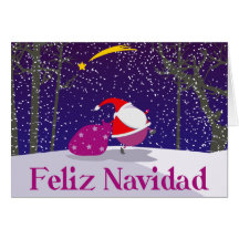 Feliz Navidad Grußkarte