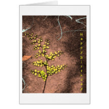 fern_tree tarjeton