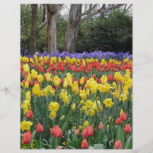 Festival australiano del tulipán tarjeton