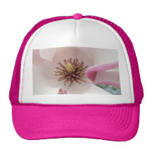 Festival de la magnolia gorros  
