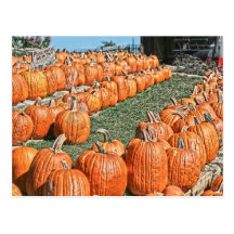Festival de las calabazas de la caída postal