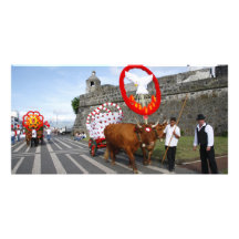 Festividades del Espíritu Santo Tarjeta Personal Con Foto