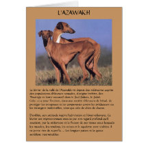 FICHA de raza Azawakh Tarjeta