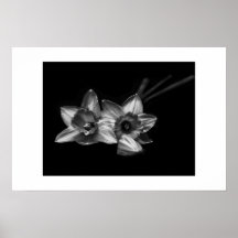 Fiebre Poster