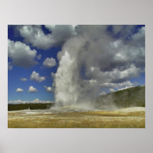 Fiel viejo en Yellowstone - impresión Posters