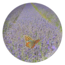 Field of lavender - Campo de lavanda Platos
