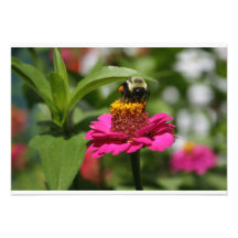 Fiesta de la primavera invitacion personal 