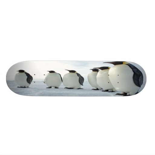 Fiesta del pingüino patines personalizados