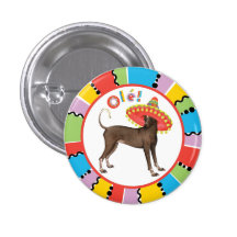 Fiesta Xolo Pin