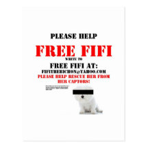 Fifi libre el Bichon Frise Tarjetas Postales