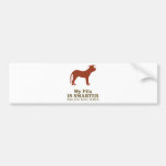 Fila Brasileiro Pegatina De Parachoque