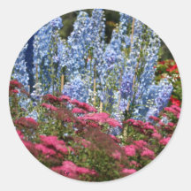 Fila del Delphinium, S Cyr Pegatinas Redondas