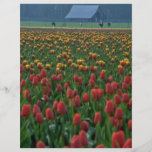 Filas y filas de tulipanes tarjetón