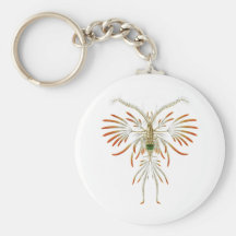 Filigerus de Augaptilus Llavero Personalizado