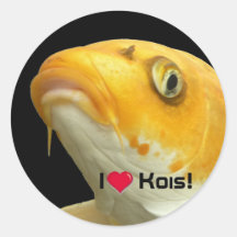 Fishies - Koi no.5 - I love Kois! Sticker
