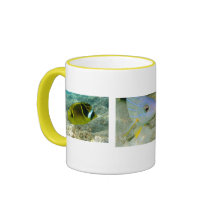 Fishies Tazas