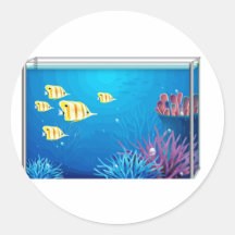 FishTank tropical Etiqueta Redonda