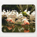 Flamenco de Floridas Tapetes De Ratón