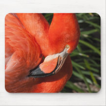 Flamenco Mousepad Tapete De Ratones