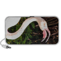 Flamenco rosado iPod altavoz