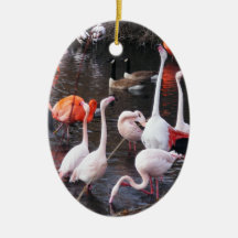 Flamencos: ¡Míreme! Ornamente De Reyes