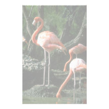 Flamencos Papeleria