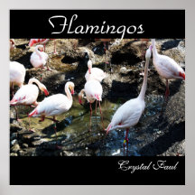 Flamencos Impresiones