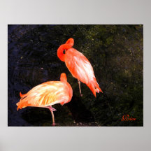 Flamencos que pintan - arte digital original posters