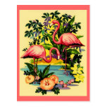 FLAMENCOS ROSADOS BONITOS EN POSTAL TROPICAL DEL B
