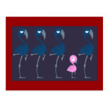 Flamencos Tarjetas Postales