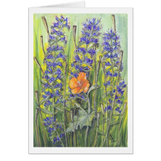 Flavum del Glaucium - Echium vulgaris Tarjeta