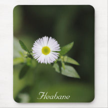 Fleabane Tapete De Ratón