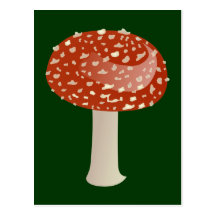 Fliegenpilz toadstool fly agaric postkarte