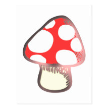 Fliegenpilz toadstool fly agaric postkarte